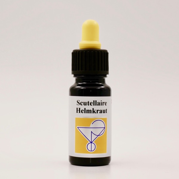 Helmkraut