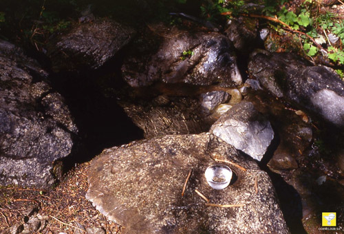 Bachblüte Nr. 27 Rock Water